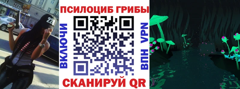 Галлюциногенные грибы Psilocybe Игарка